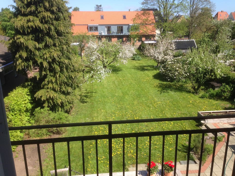 View from the balcony
