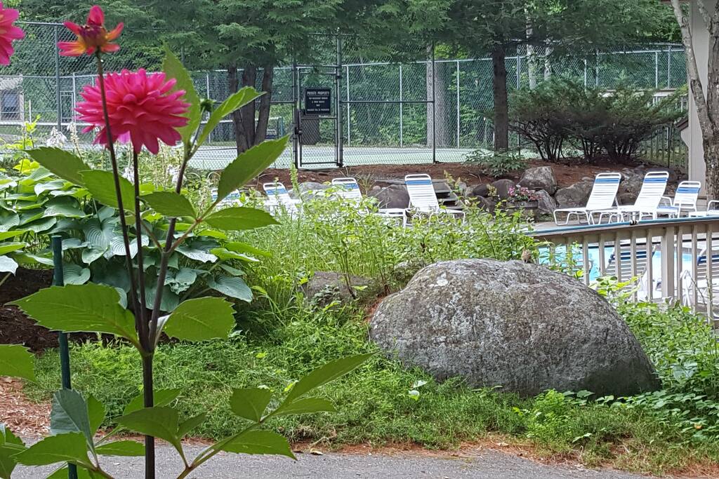 Lovely pool area for warm summer days.