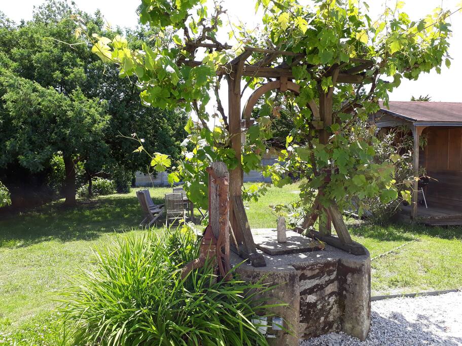 Le jardin