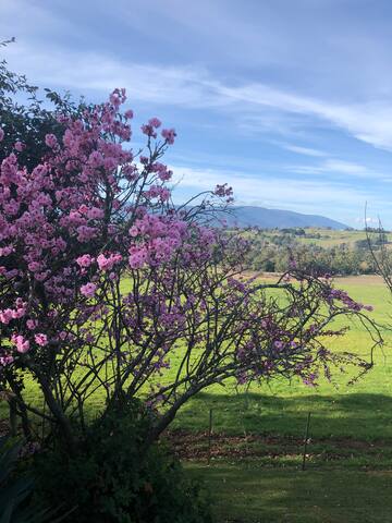 Yarra Valley Views Homestead – with amazing views gallery image 3