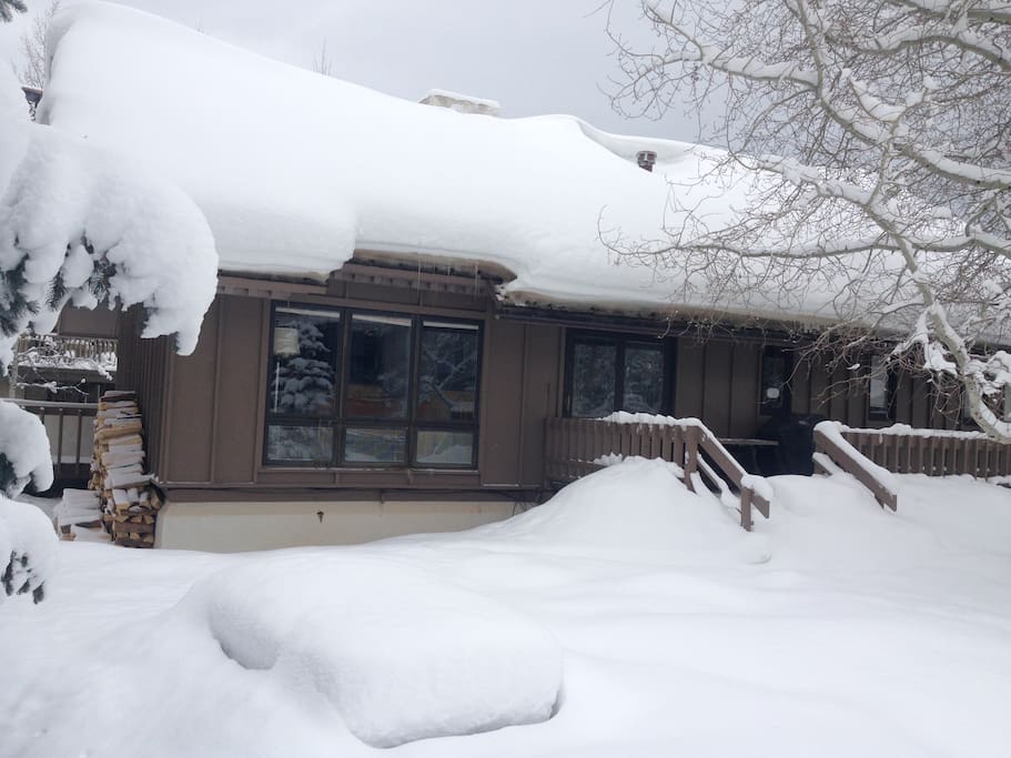 Chalet in winter -- side view