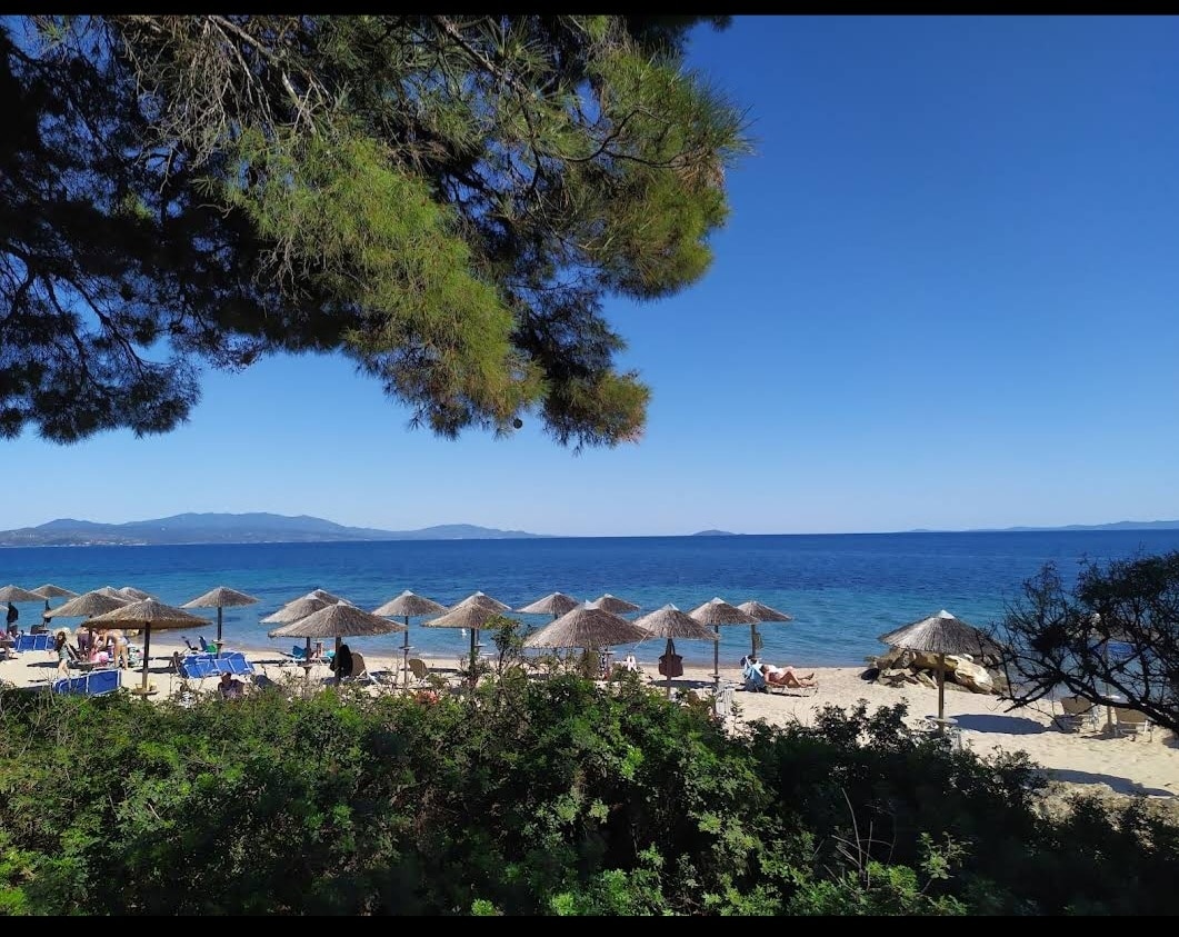 A sandy beach is framed by lush greenery and shaded by tall trees. Straw umbrellas provide shelter for guests lounging on the sand, with clear blue waters gently lapping at the shore. Mountains are visible in the distance under a clear sky.