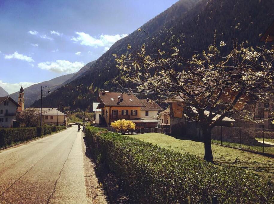 House view in spring