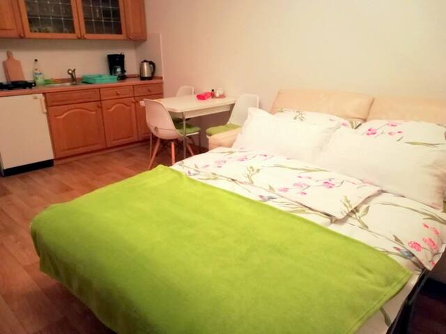 Mini apartment in just for you :)