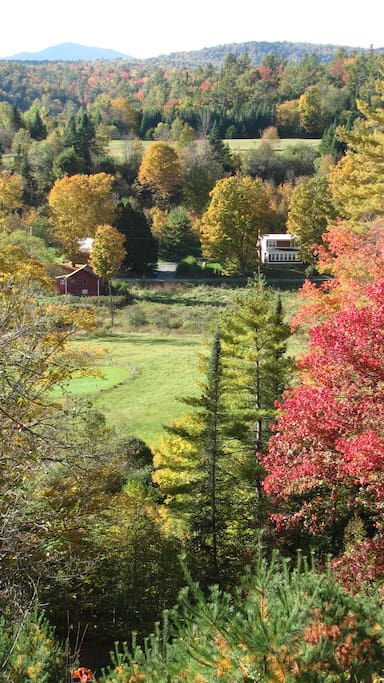 The view from the porch!
