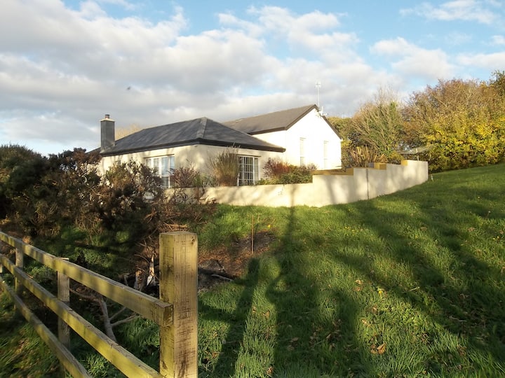 Enclosure in Ballyhannan South