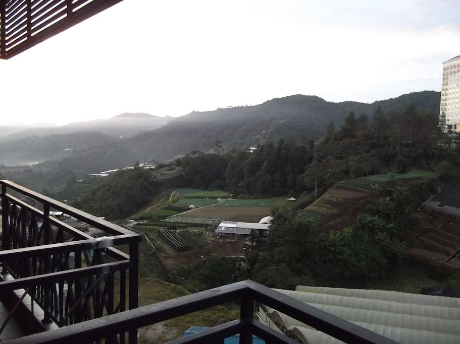 Tranquil view