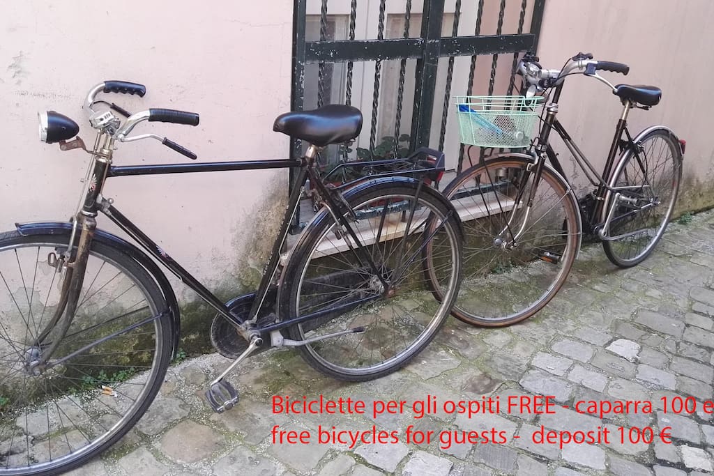 Biciclette per gli ospiti FREE - caparra 100 euro
free bicycles for guests - deposit 100 €