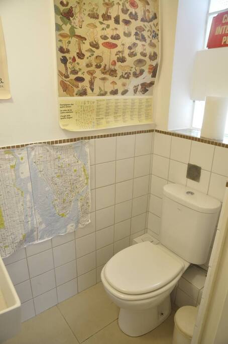Toilette 1