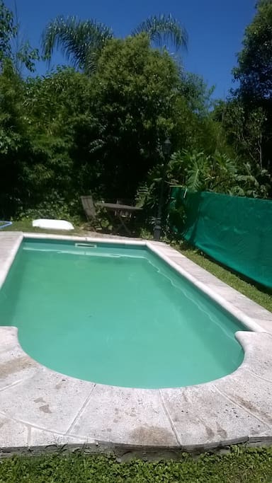 piscina (mucha privacidad)
