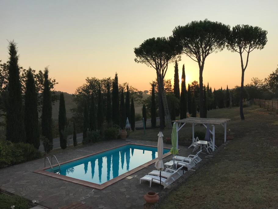 pool / garden