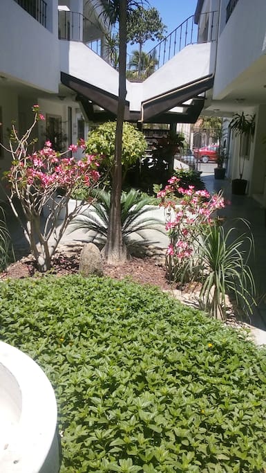 Jardin central