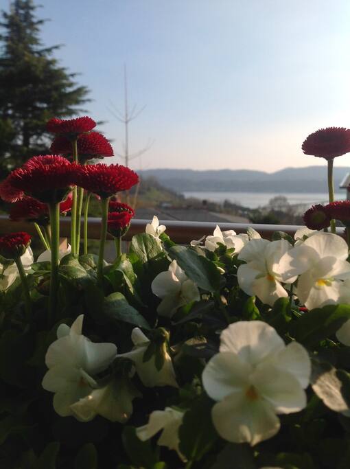 Casa vacanza Viverone