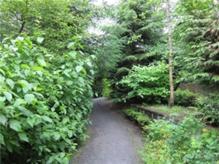 Trail to playground