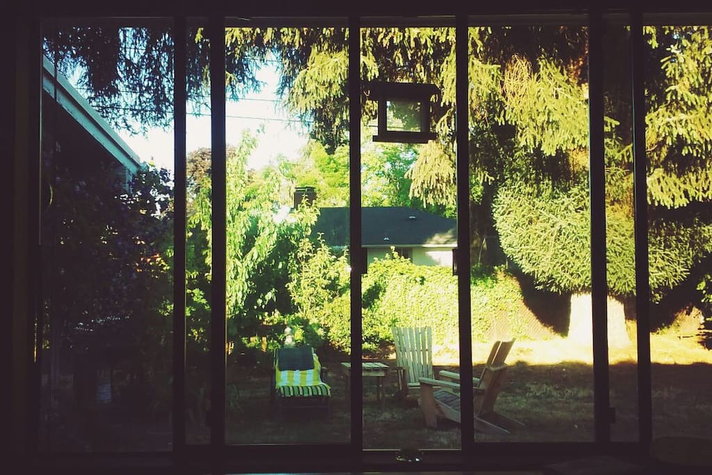 Backyard view from the living room. I feel lucky to see this everyday.