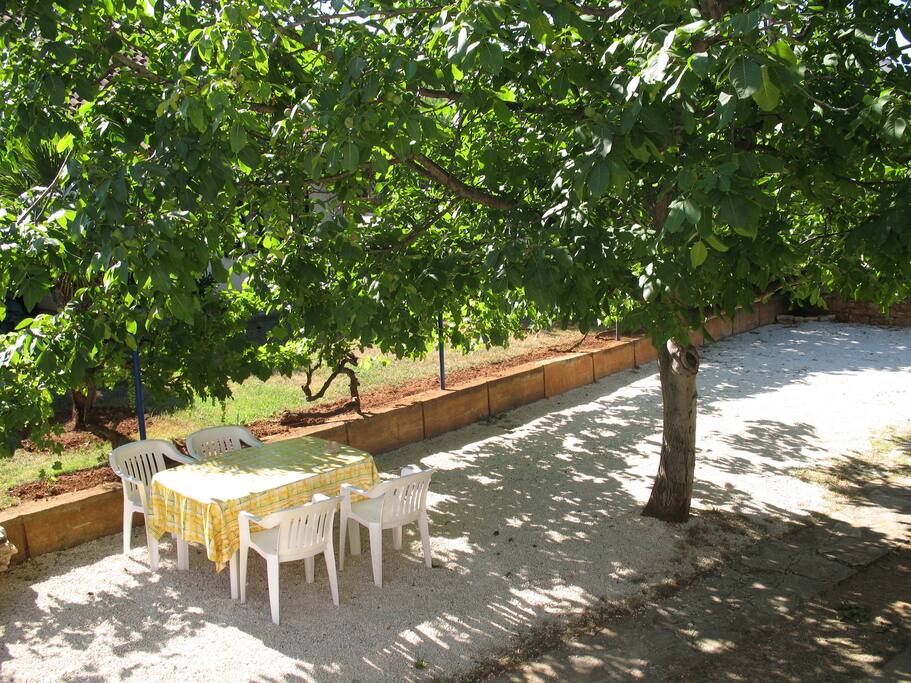 Garden with barbeque