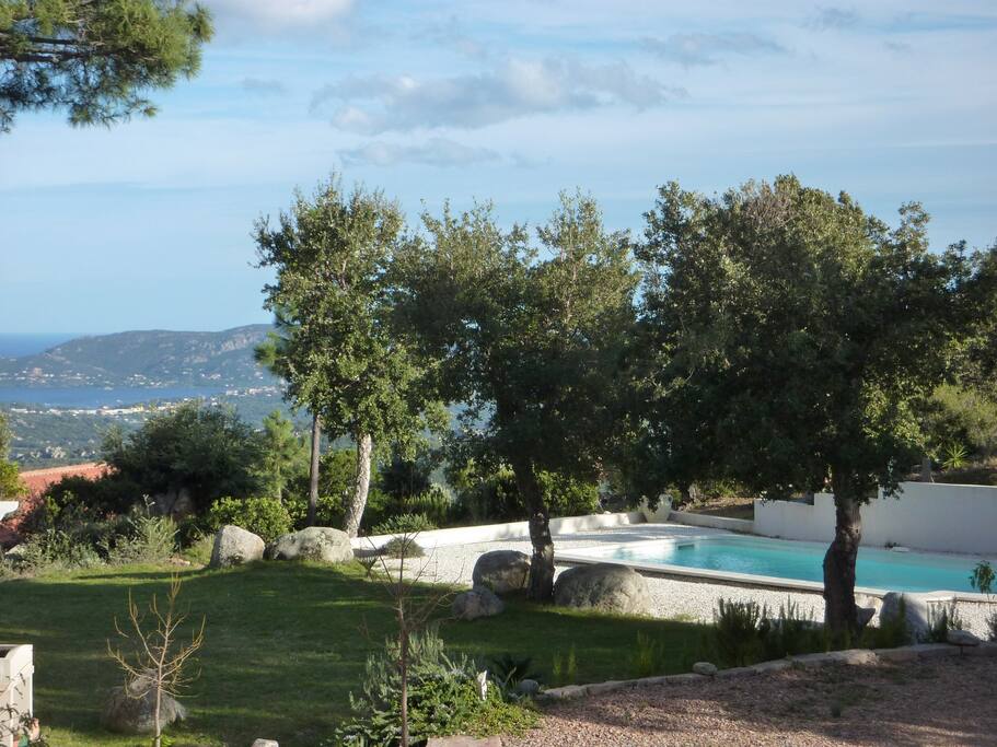 piscine et jardin
