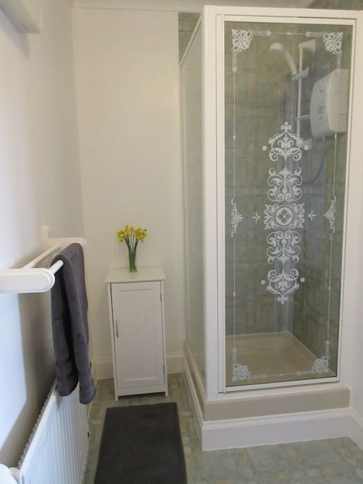 Room 2 - Ensuite Shower Room