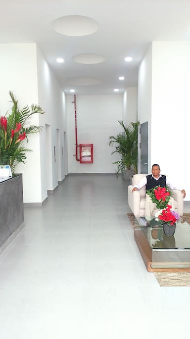 ZONA DE RECEPCION