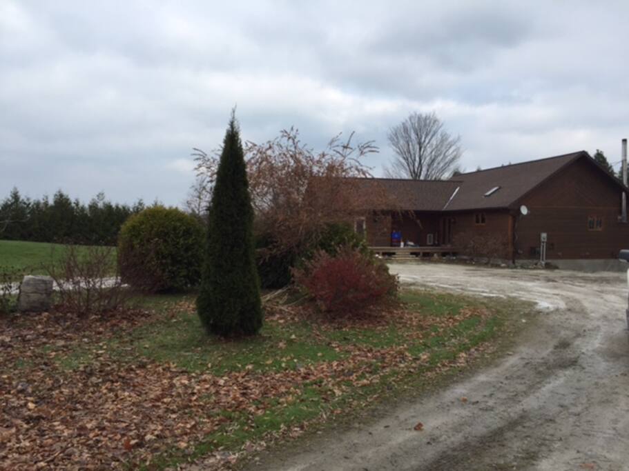 Driveway