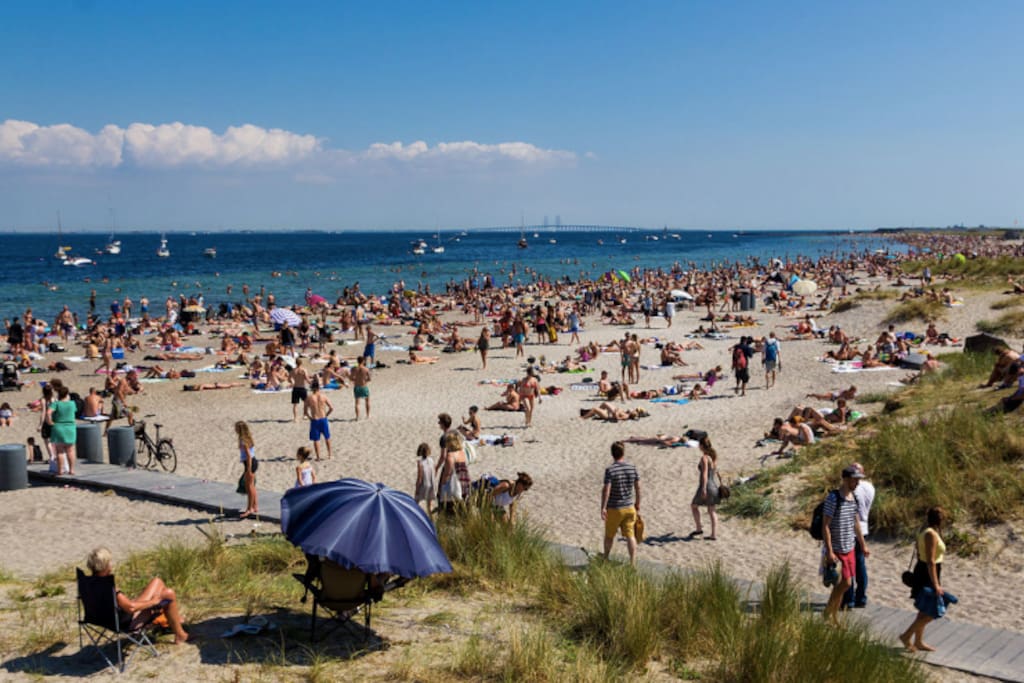 Amager Strandpark Beach