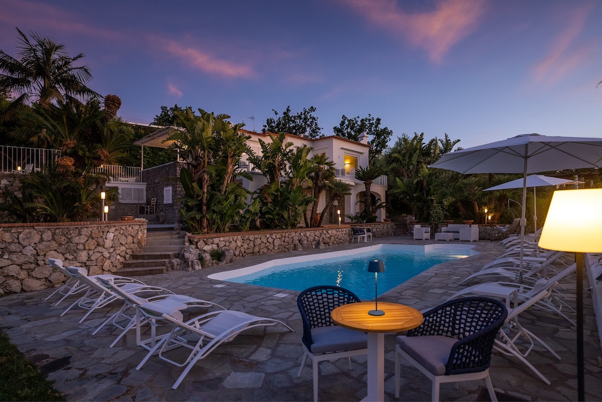 Casa Palma — view 3
