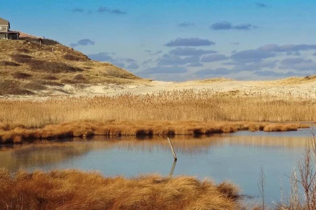 Surrounded by beauty on all sides