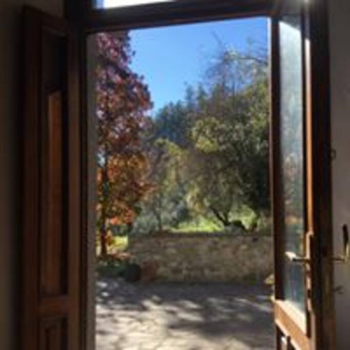 View from the kitchen