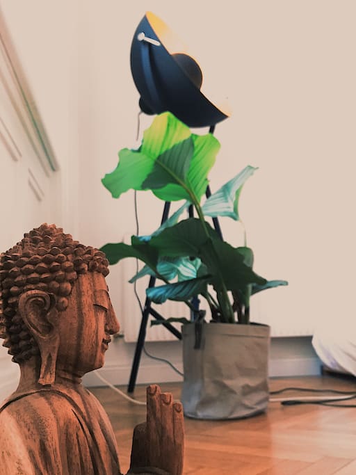 buddha is always providing a good mood and never letting me forget about my karma-points :)