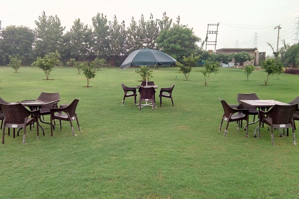 Greenery all around