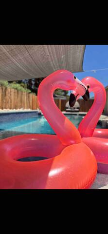 5-7m STRIP,Airport& Allegiant, Monthly discount gallery image 2