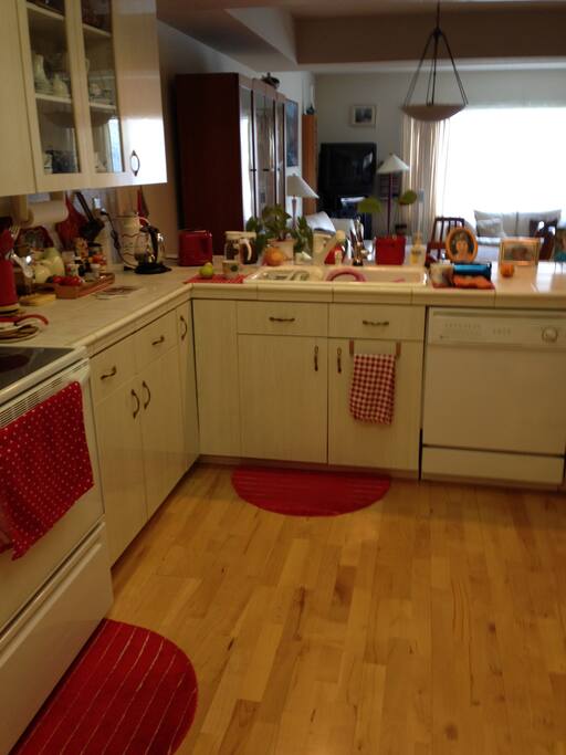 Spacious kitchen with natural light filtering in
