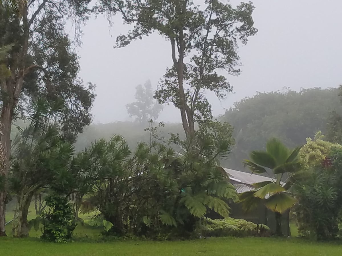 A lush, tropical landscape is depicted, featuring varying shades of green foliage and trees. A mist hovers over the area, softly obscuring the view of the cottage. The serene surroundings enhance the feeling of seclusion and tranquility.
