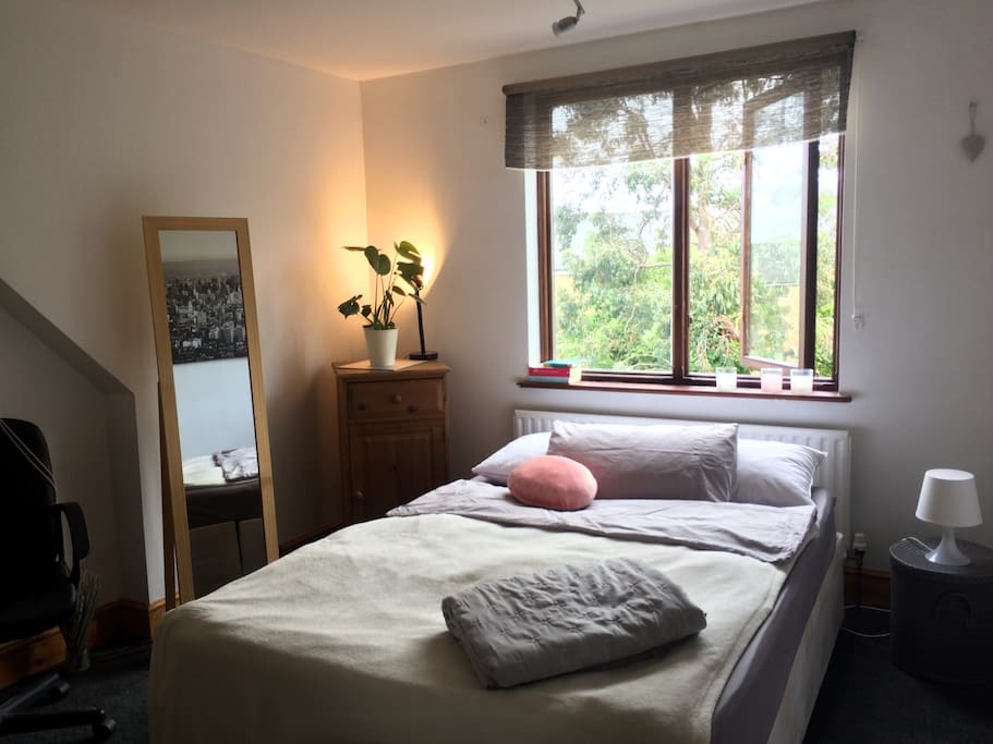 Guest room perspective from the door