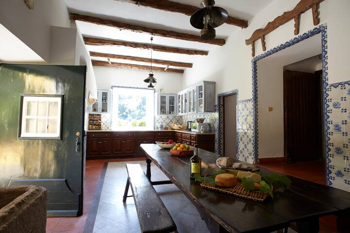 Magnificent historic family villa gallery image 4