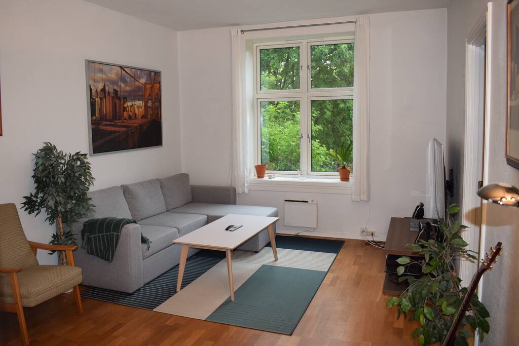 Large livingroom, with fireplace, 60" UHD TV and sleeping couch