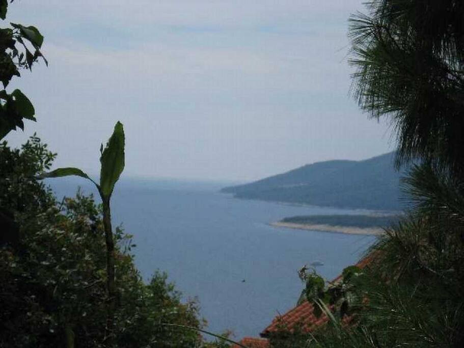 Pogled sa terase