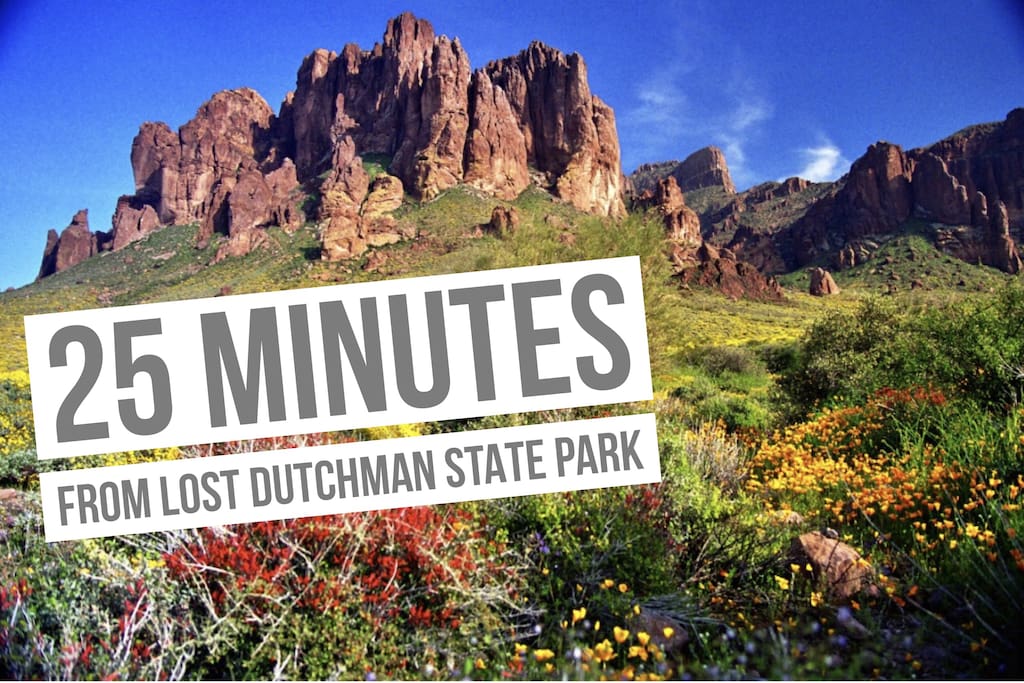 If you are in for a Gorgeous view, be sure to check out Lost Dutchman State Park.
Famous western movies have filmed in this area for its western look and cowboy history.