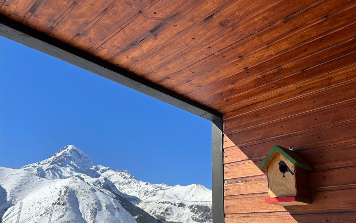 The image captures a wooden balcony with a ceiling of polished wood. A birdhouse hangs on the wall next to an expansive view of snow-covered mountains under a clear blue sky.