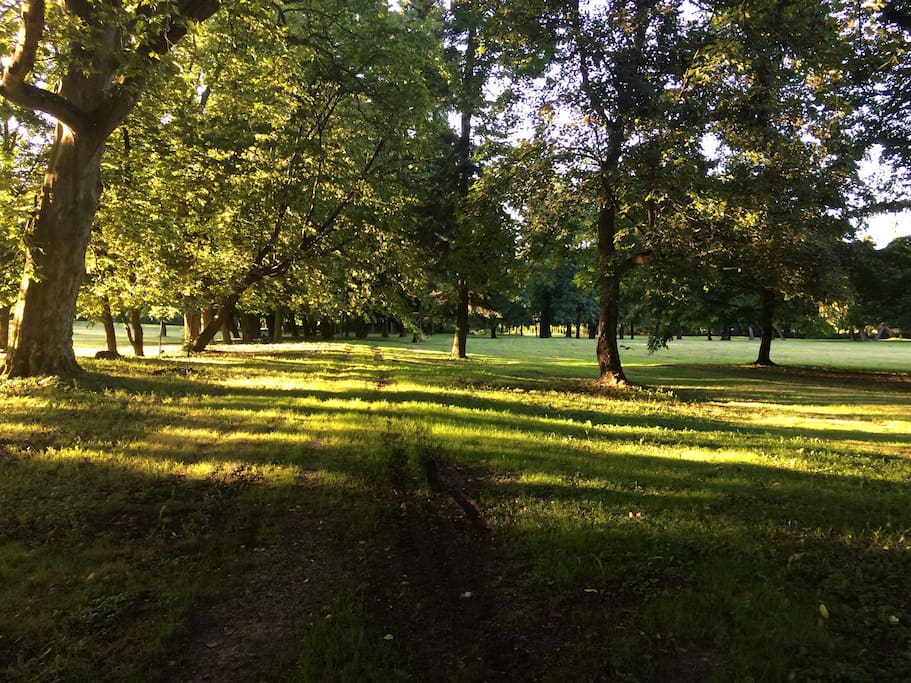 Der Park