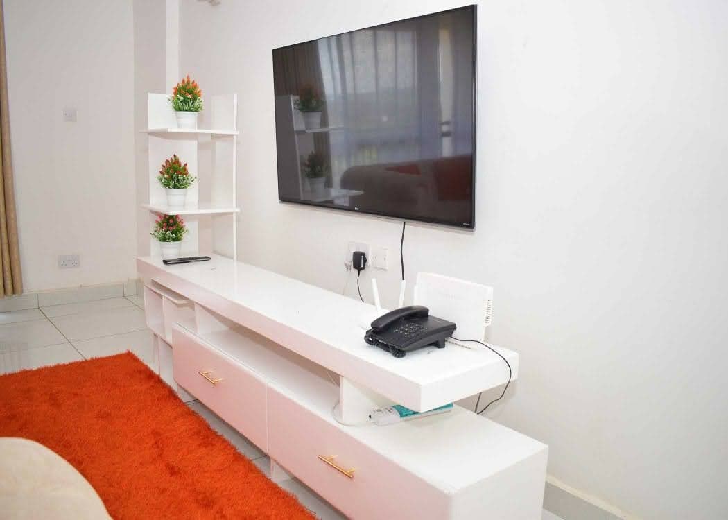 A sleek entertainment unit is positioned against a light wall, featuring a large flat-screen TV. A decorative shelf holds small potted plants. Below, an elongated white cabinet with drawers offers storage space. An orange rug adds a pop of color to the floor.