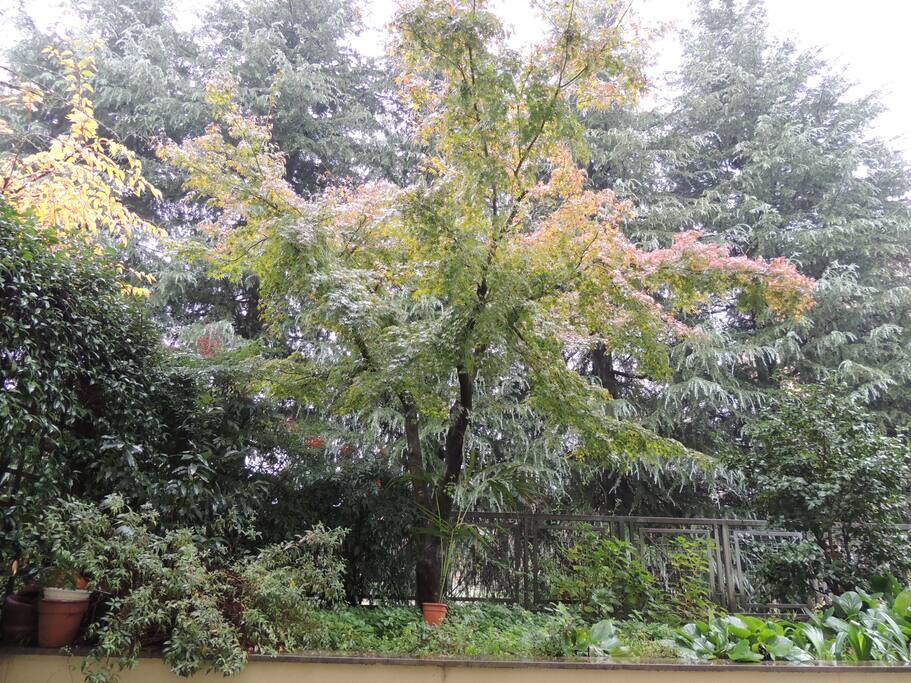 Autunno: giardino interno
