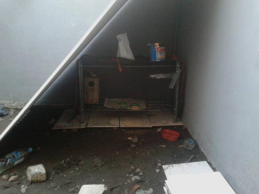 tempat hewan peliharaan jika bawa hewan