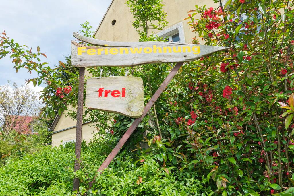 Freimeldung