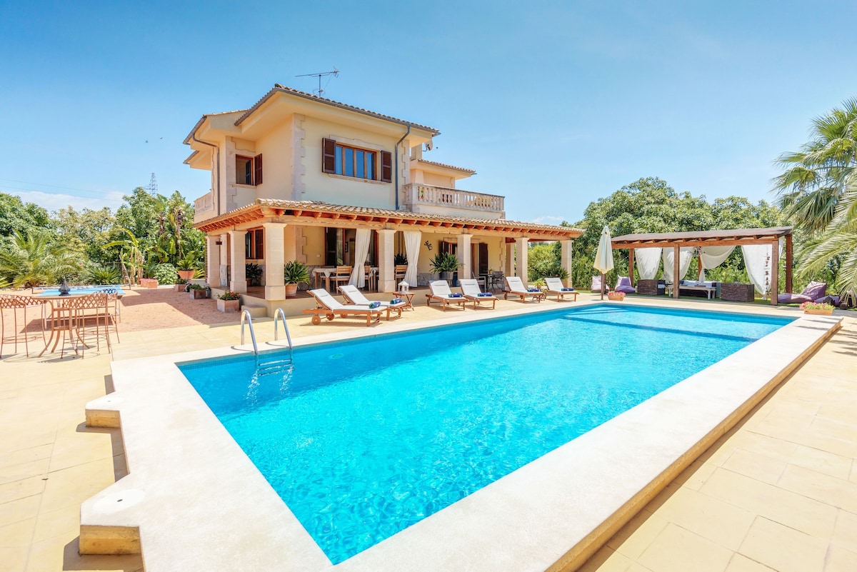 A spacious outdoor area features a large swimming pool, surrounded by comfortable loungers. Shaded seating areas with elegant pergolas are also present. Lush greenery and palm trees enhance the tranquil environment, showcasing a welcoming space for relaxation and leisure.