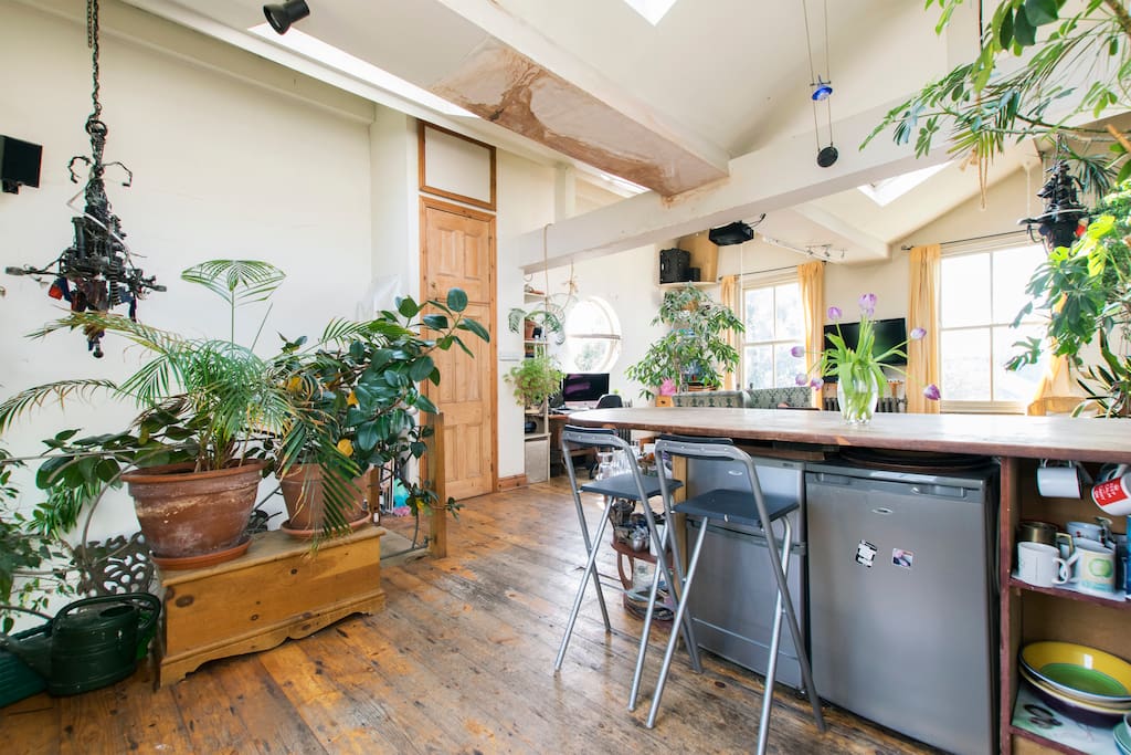 kitchen area