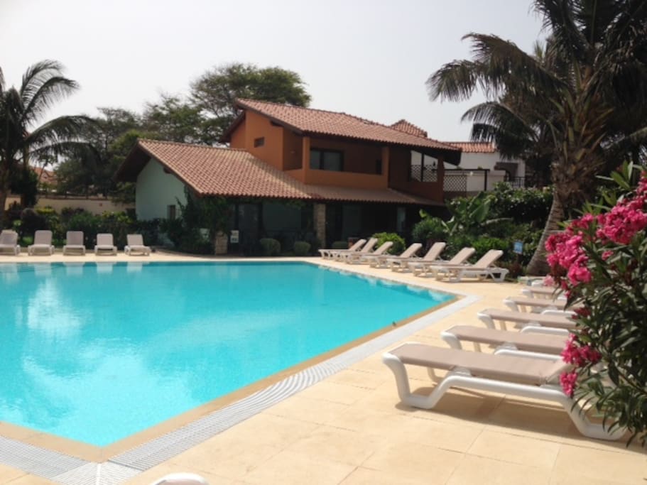 Pool set in tropical gardens