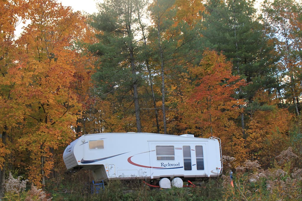 beautiful, wooded site