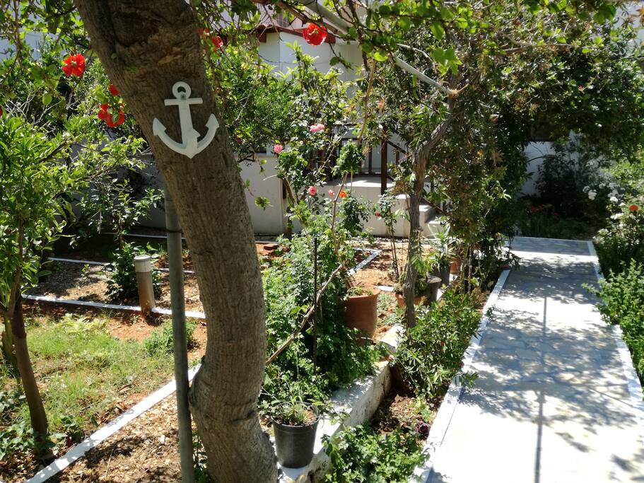 Walkway to house