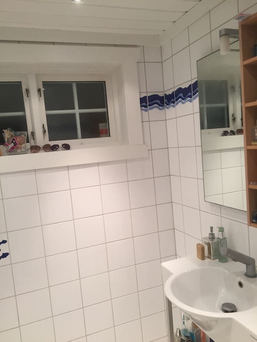 The bathroom